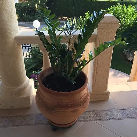Villa Vista *