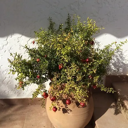 Vista * Javea