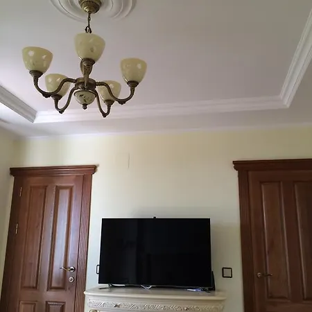 Vista *