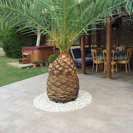 Vista Villa *